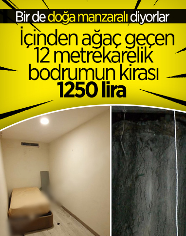 İstanbul'da 'doğa manzaralı' dairenin gerçek yüzü