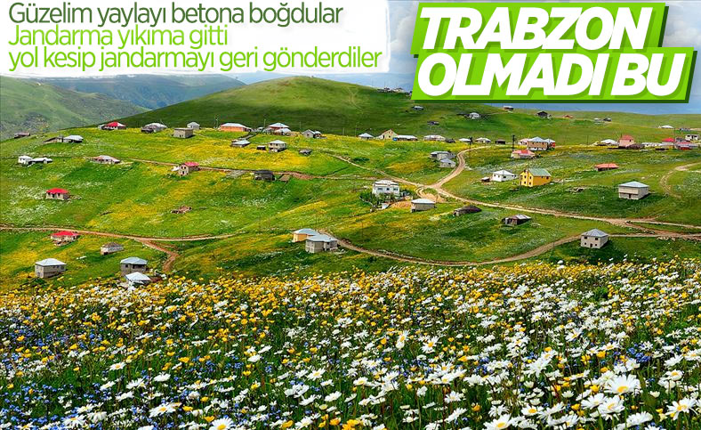 Trabzonlular yaylalardaki yapıların yıkılmasını engelledi