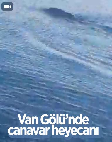 Van’da, gölde yüzen yaban domuzu Van Gölü canavarı zannedildi