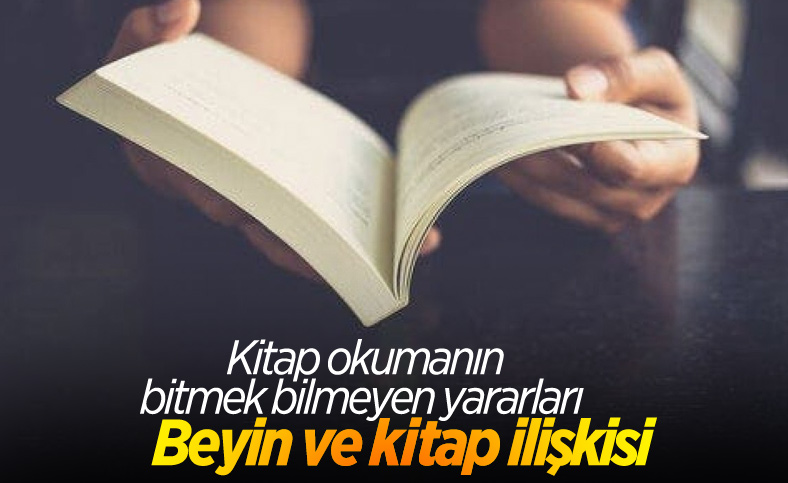 Kitap okurken beynimiz nasıl etkilenir, nasıl tepkiler verir