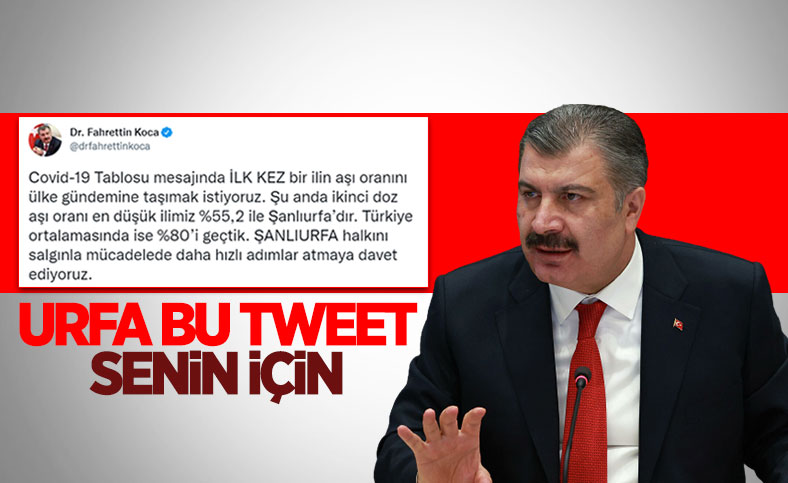15 Kasım Türkiye'de koronavirüs tablosu