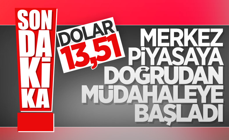 Merkez Bankası'ndan döviz kuruna müdahale