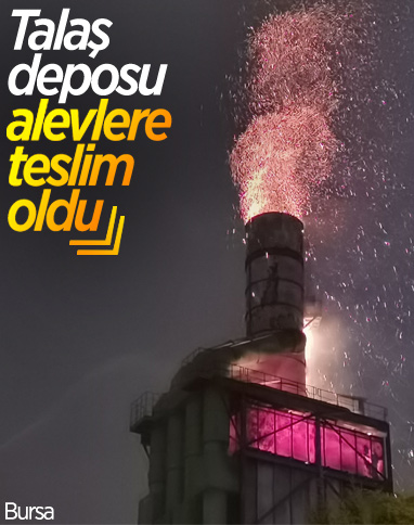 Bursa'da talaş deposunda yangın çıktı