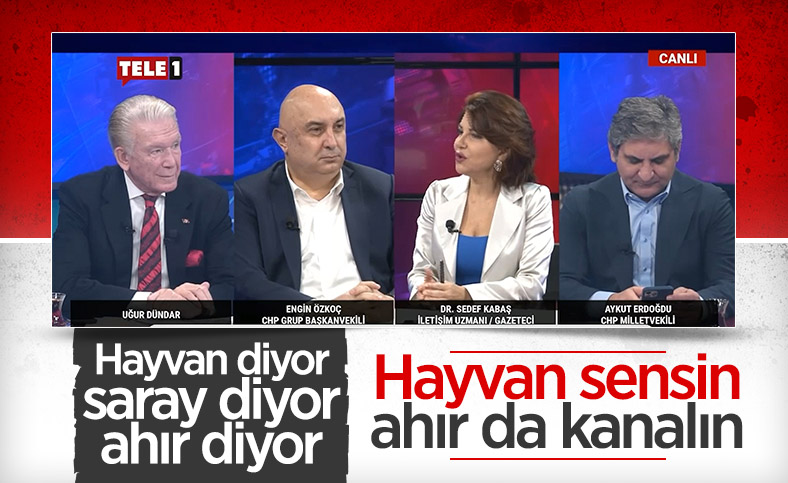 Sedef Kabaş'ın Cumhurbaşkanı Erdoğan'a yönelik küstah sözlerine tepki yağdı