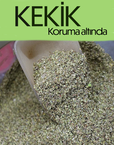 Kekiğin tanımı genişletildi
