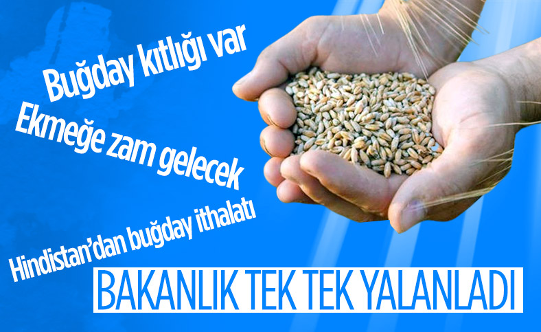 Tarım Bakanlığı'ndan 'Hindistan'dan buğday ithalatı' iddiasına yalanlama