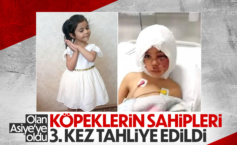 Asiye'ye pitbull saldırısı davasında tutuklu sanık kalmadı