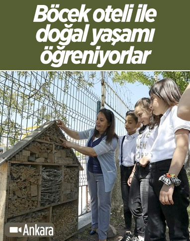 Ankara'da okul bahçesindeki 'böcek oteliyle' canlıların yaşamını öğreniyorlar