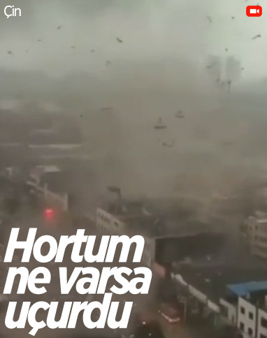 Çin'de hortum: Ağaçlar kökünden söküldü