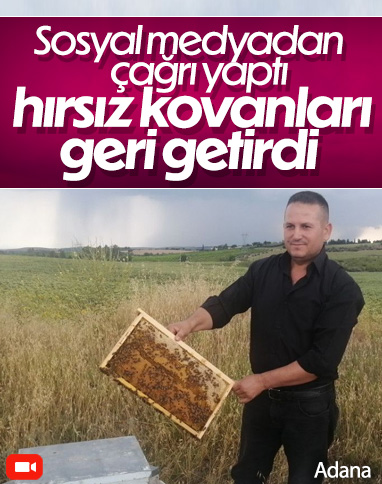 Adana'da bir kişi arı kovanlarını çalan hırsıza sosyal medyadan çağrı yaptı