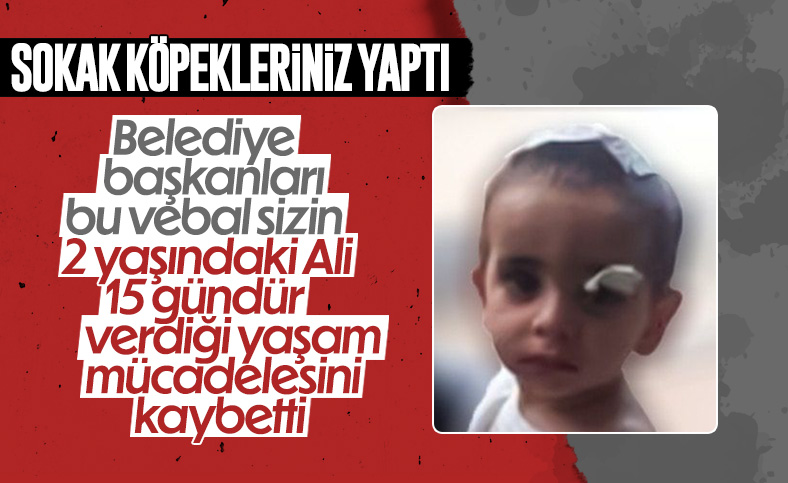 Ağrı'da sokak köpeklerinin saldırdığı minik Asaf yaşamını yitirdi