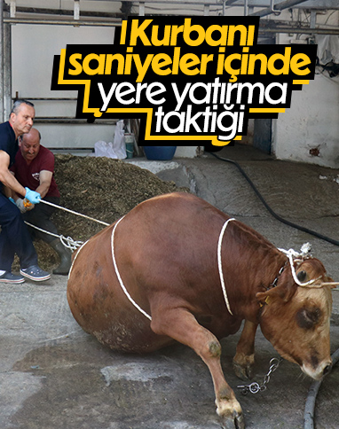 Kurban yatırmada Rueff tekniği