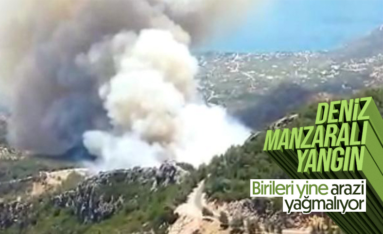Datça'da ormanlık alanda yangın çıktı