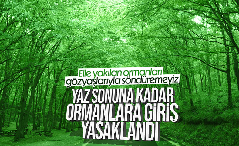 İçişleri Bakanlığı'ndan orman yangınlarına karşı genelge