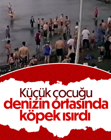 Trabzon'da denizde çocuğu köpek ısırdı