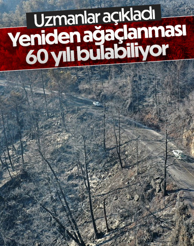 Yanan ormanların eski haline dönmesi 60 yılı bulabiliyor