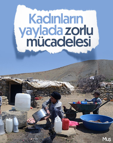 Muş'ta yaylaya çıkan kadınların zorlu mesaisi sürüyor