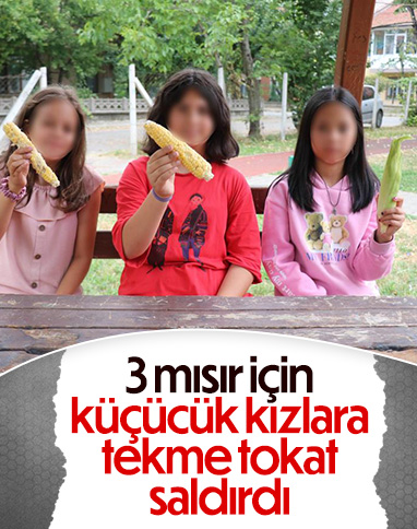Bolu'da parkta mısır yiyen 3 kız çocuğu, bahçe sahibi tarafından darbedildi