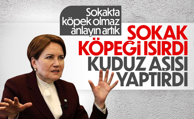 Meral Akşener'i sokak köpeği ısırdı