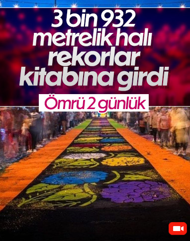 Meksika'da 3 bin 932 metrelik halı Guinness Rekorlar Kitabı’na girdi