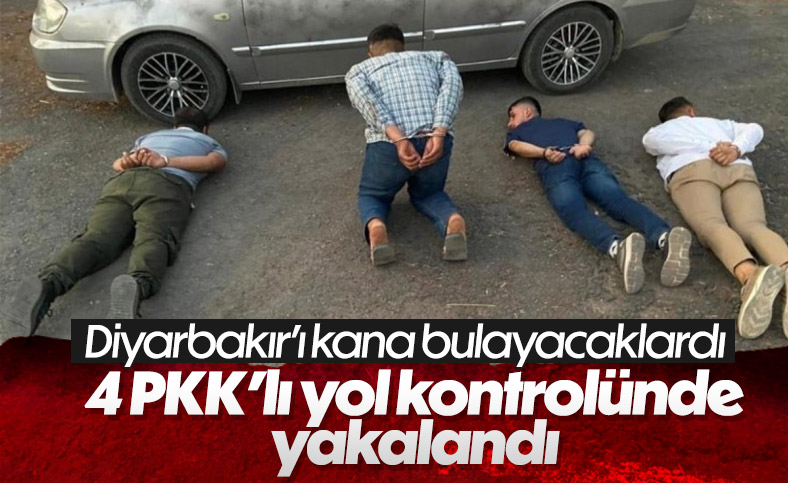 Diyarbakır'da eylem hazırlığında olan 4 PKK'lı yakalandı