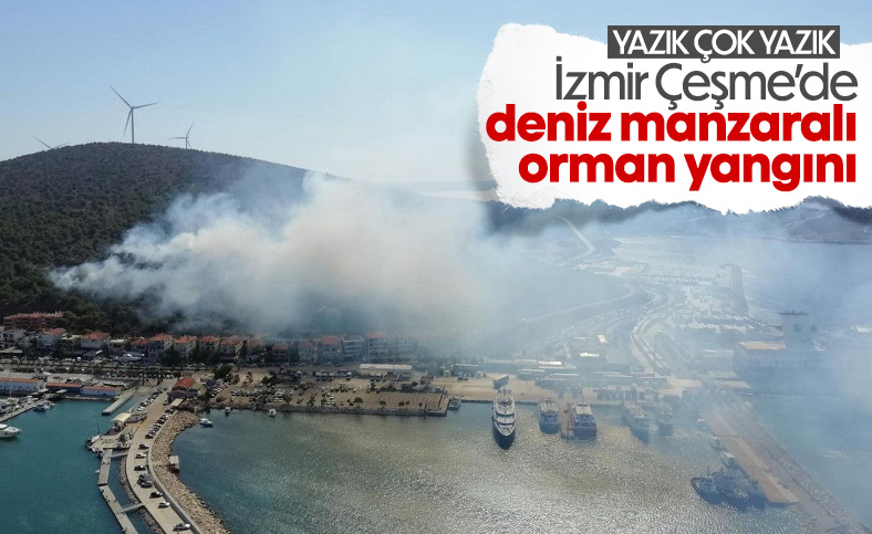 İzmir'deki orman yangınına havadan ve karadan müdahale ediliyor