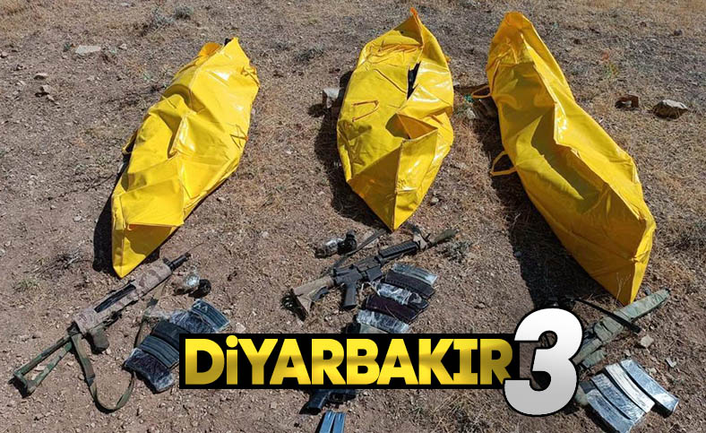 Diyarbakır'da 3 terörist, etkisiz hale getirildi
