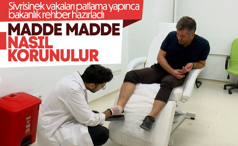 Sağlık Bakanlığı'ndan sivrisineklerden korunma rehberi