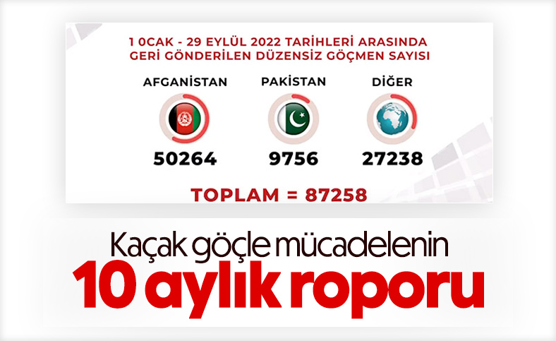Sınır dışı edilen düzensiz göçmen sayısı açıklandı