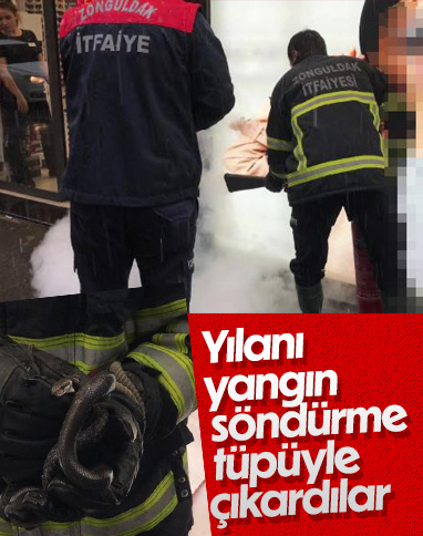 Zonguldak'ta mağazaya giren yılan, yangın söndürme tüpüyle yakalandı