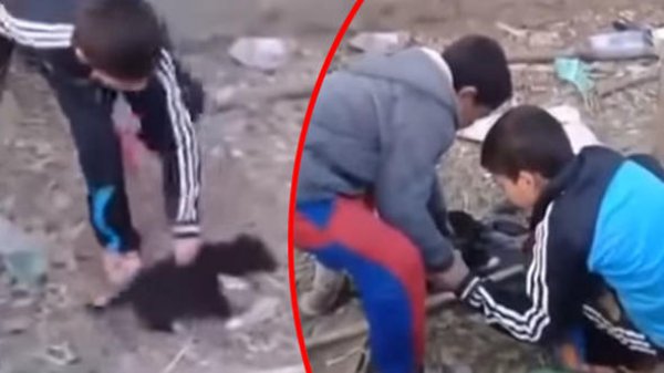 Emniyetten patileri kesilen köpekle provokasyon uyarısı