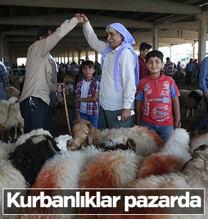Kurbanlıklar pazara indi