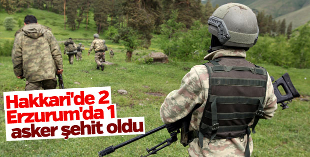 Erzurum ve Hakkari'de terör operasyonu