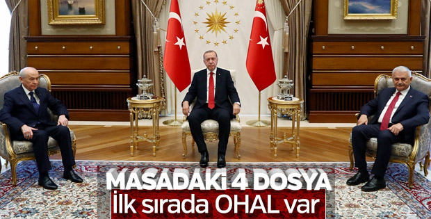 Erdoğan-Bahçeli görüşmesinin detayları