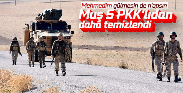 Muş'ta 5 terörist öldürüldü