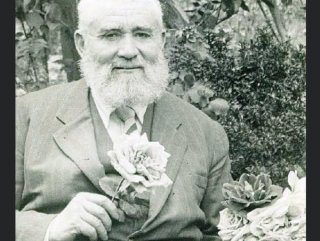 Mehmed Necmeddin Okyay kimdir