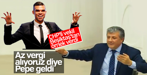CHP'li Mustafa Balbay'dan vergi tartışmasında Pepe örneği