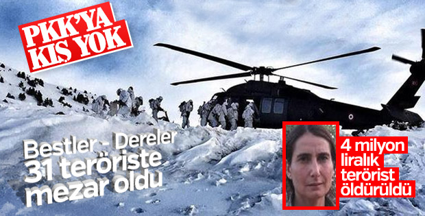 Bestler-Dereler'de 31 PKK'lı öldürüldü