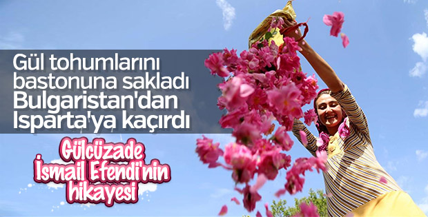 Bulgaristan’dan kaçırılan Isparta gülü