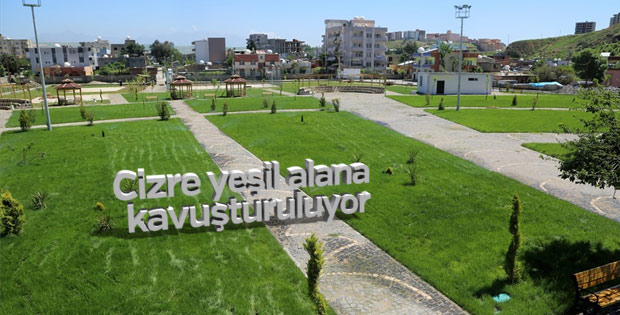 Cizre yeşil alana kavuşturuluyor