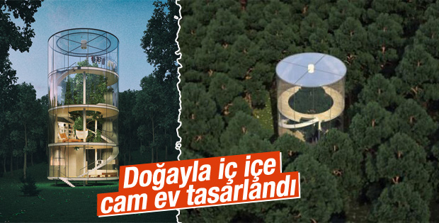 Ormanın içinde tasarlanan cam ev ilgi çekti