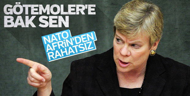 NATO'nun Zeytin Dalı hazımsızlığı