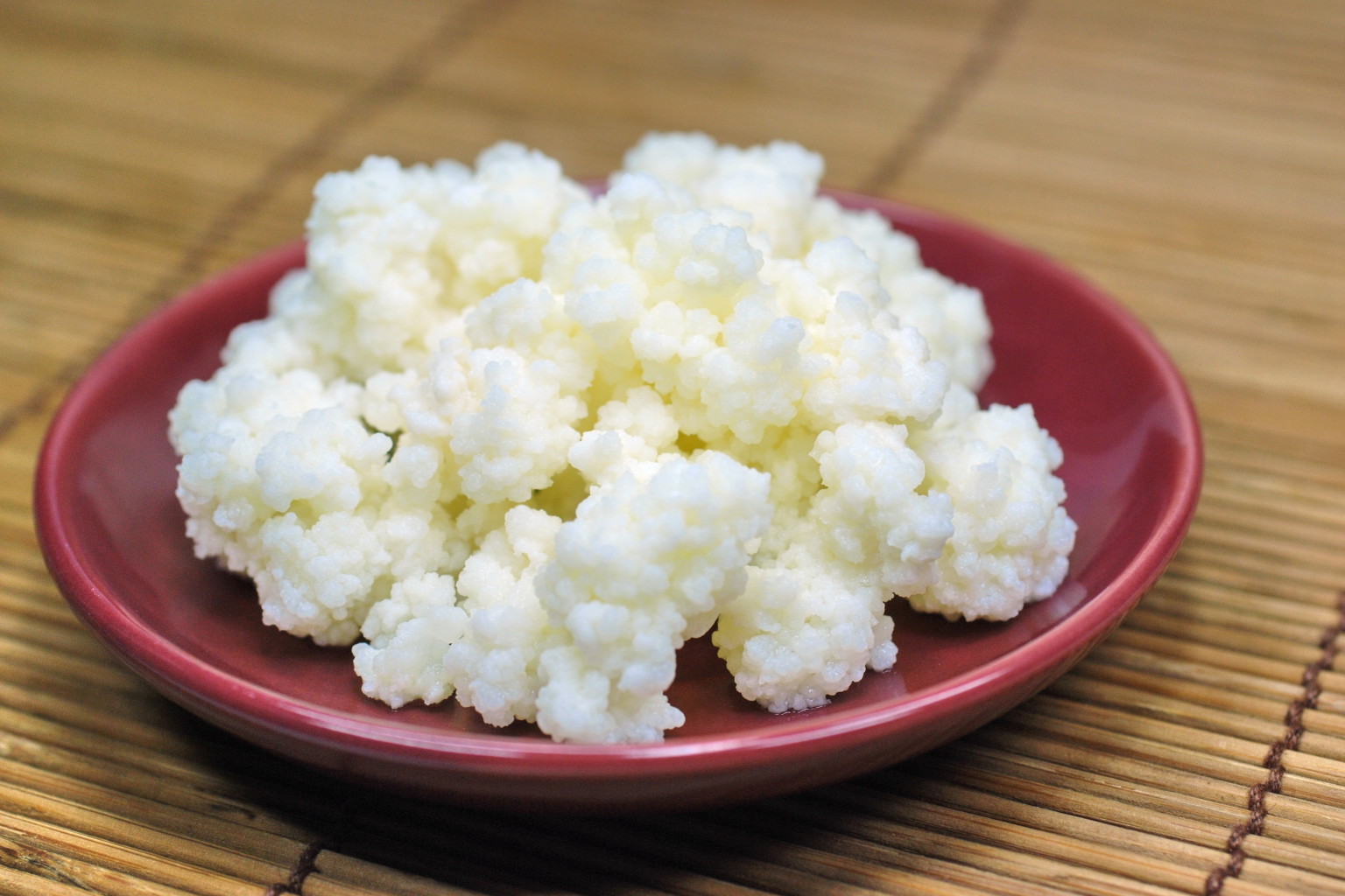 Kefir Taneleri Nasıl Saklanır Kefir Taneleri Nasıl Saklanır