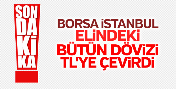 Borsa İstanbul'dan döviz satışı