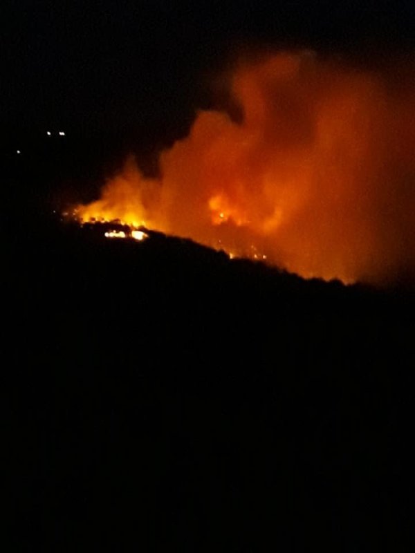 Hatay'da orman yangını 