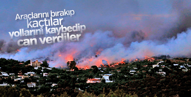 Ormana girenlerden yolunu kaybedip ölenler oldu