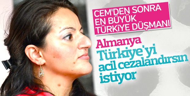 Sevim Dağdelen'in 'Türkiye'yi cezalandırın' çağrısı