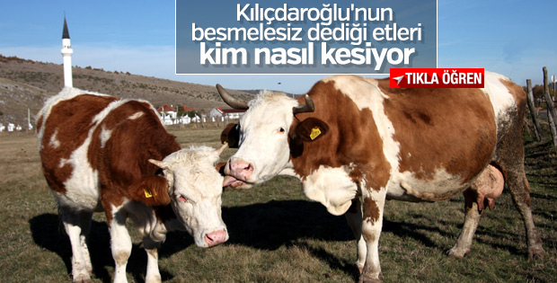 Türkiye'ye et ihracatı Sırbistan'daki Boşnaklardan