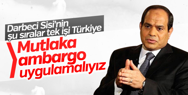 Darbeci Sisi Türkiye'ye ekonomik ambargo istiyor