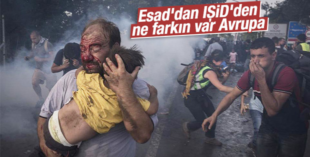 Macaristan'da polislerden Suriyeli mültecilere sert müdahale